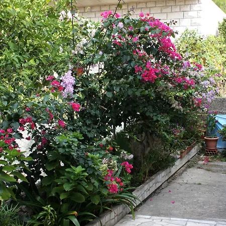 Apartman Family Friendly Seaside Sumartin, Brac - 5771