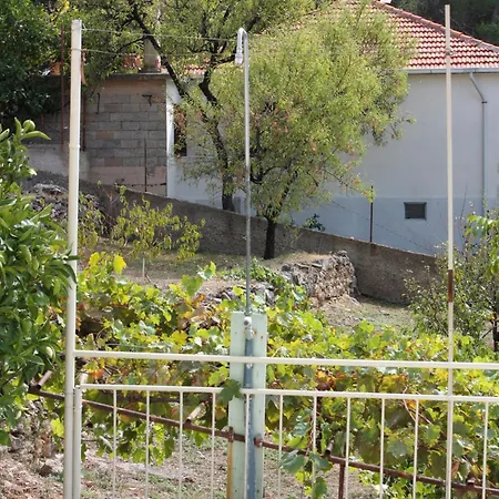 Family Friendly Seaside Sumartin, Brac - 5771 Apartamento